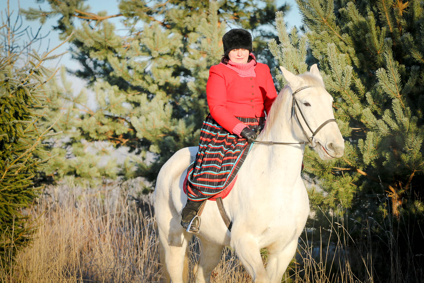 Zirgu izjādes, purenes.lv